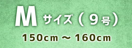 Mサイズのチャイナドレス